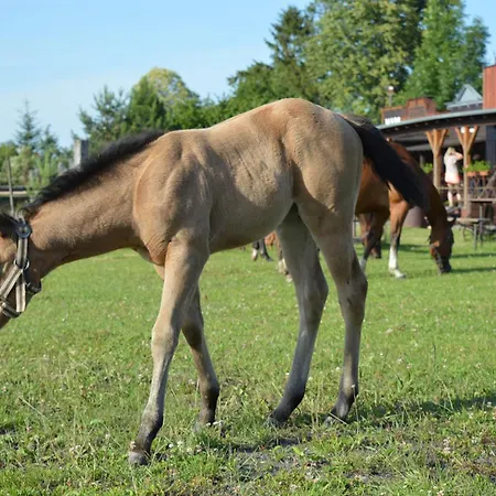 Bubla Ranch *