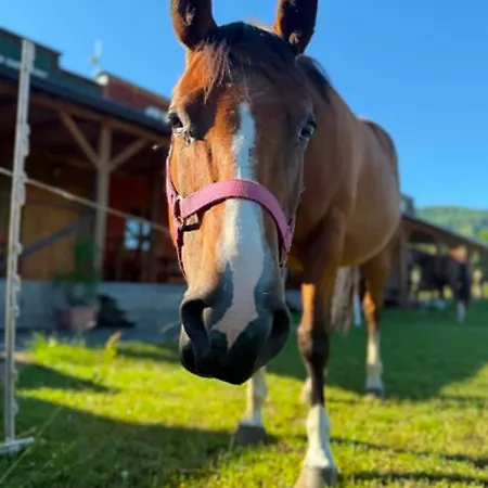 Bubla Ranch