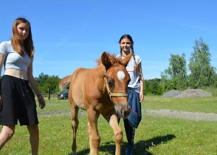 Apartmán Bubla Ranch Kopřivnice