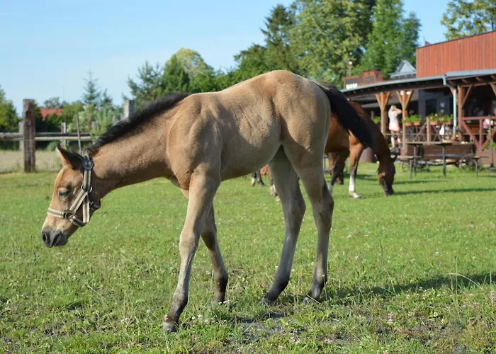 Bubla Ranch *